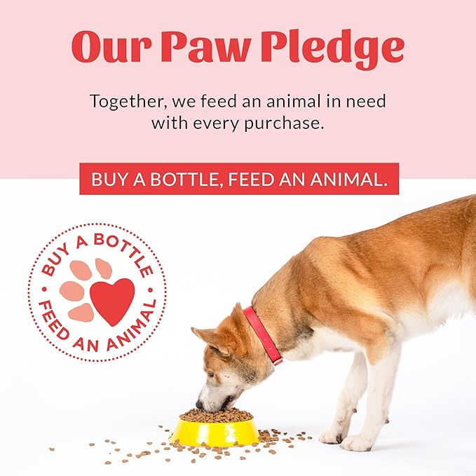 SKOUT'S HONOR Probiotic Hot Spot Hydrogel - Natural Hot Spot Treatment, Soothes and Heals Wounds, Burns, and Irritated Skin, Safe for All Skin Types, 4oz, 3-Pack