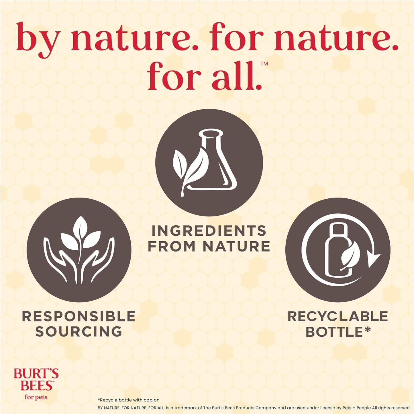 Burt’s Bees for Pets Deodorizing Shampoo with Manuka Honey and Charcoal for Dogs - Naturally Derived Ingredients, 16 Fl Oz