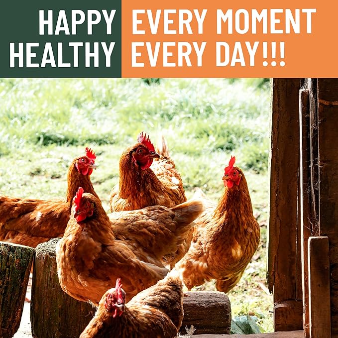 10LB Non-GMO Dried Black Soldier Fly Larvae for Chicken – 85X More Calcium Grubs Than Mealworms for Strong Eggshells & Healthy Growth - High Protein for Chickens, Birds, Ducks, Geese & Pets