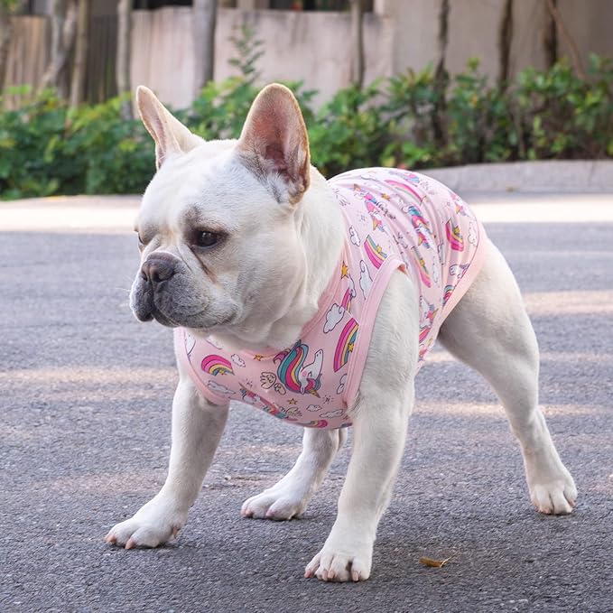 CuteBone Dog Shirts 2-Pack Soft Pet Clothes Breathable Summer Vest for Small Puppy and Stretchy Cat Apparel 2BX09L