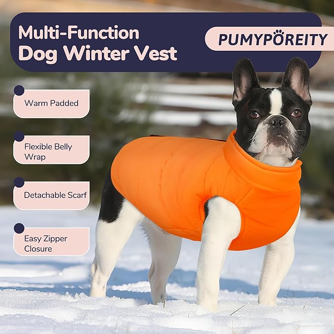 PUMYPOREITY Dog Puffer Coat with Detachable Scarf, Warm Padded Cold Weather Vest, Windproof Lightweight Snowsuit, Water Resistant Dog Winter Coats, Thermal Winter Jacket for Small Medium Large Dogs