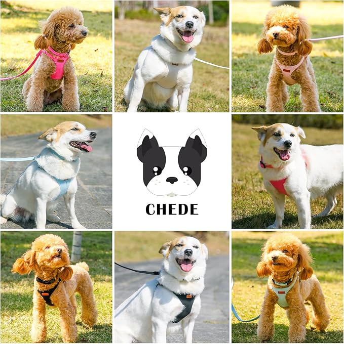 No Pull Dog Harness- Lightweight, Soft, Adjustable Small Harness Collar and Leash Set, Suitable for Cats Puppy Small and Medium-Sized Dog Outdoor Training and Running (hotpink, S)