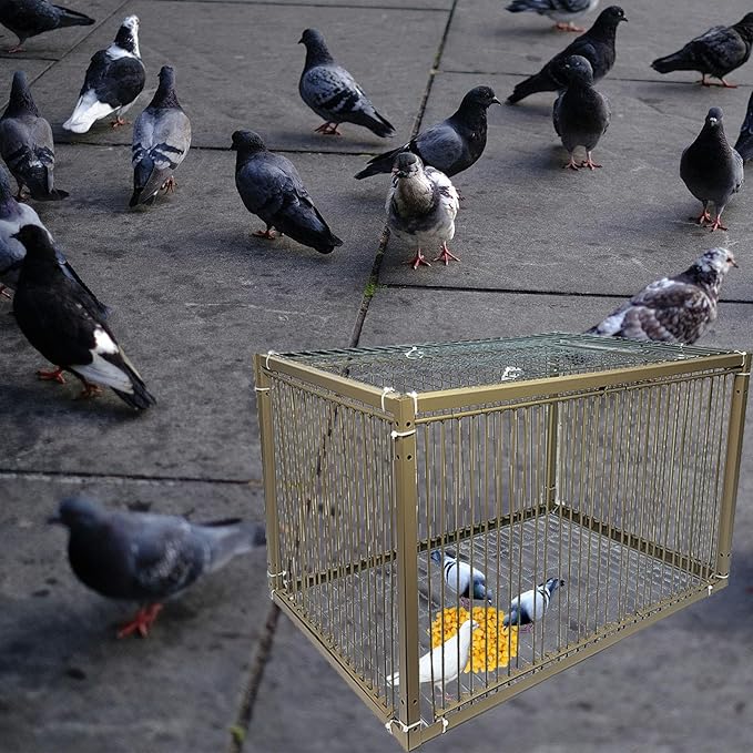 15" H Chicken Pigeon Trap Cage Birdcage Small Animal Trap Cage with Escape-Proof Design for Bird Turkey Duck Dove (23.6" L x 15.7" W x 15.7" H)