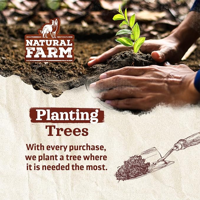 Natural Farm Extra-Thick Beef Tendons (9-12 Inch, 12 Pack), Natural Chondroitin and Collagen: Supports Healthy Joints, Great for Dental Health – Made & Packaged, All Dog Sizes