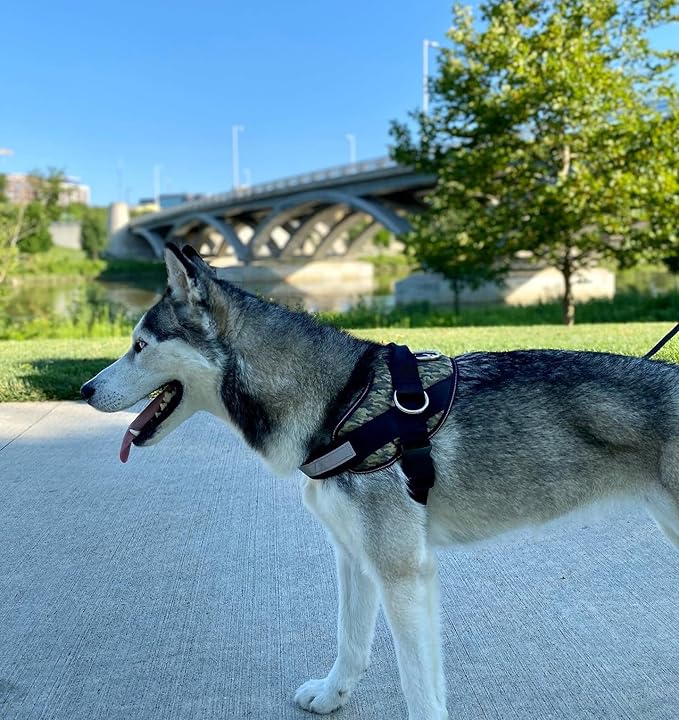 ShawnCo Essential Dog Harness, No-Pull Pet Vest with 3 Leash Clips, No Choke, Reflective, Adjustable and Padded, for Easy Walking and Training for Small, Medium and Large Dogs (Military Camo, S)