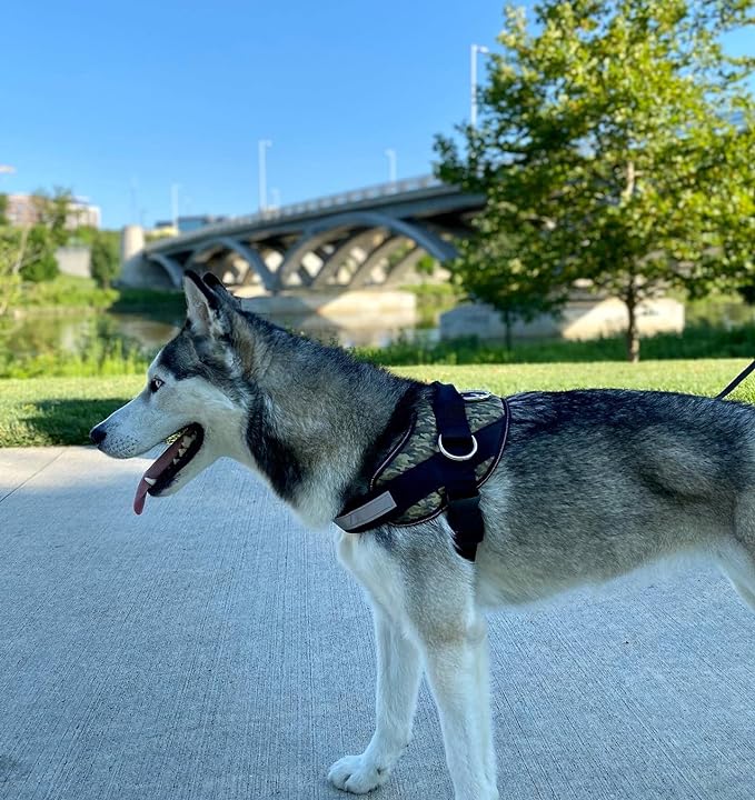 ShawnCo Essential Dog Harness, No-Pull Pet Vest with 3 Leash Clips, No Choke, Reflective, Adjustable and Padded, for Easy Walking and Training for Small, Medium and Large Dogs (Military Camo, XS)