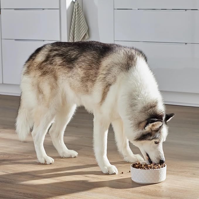 Open Farm, RawMix Grain-Free Dry Dog Food, Protein-Packed Kibble Coated in Bone Broth with Freeze Dried Raw Chunks, Pollock Beef & Salmon, Tide & Terrain Recipe, 20lb Bag