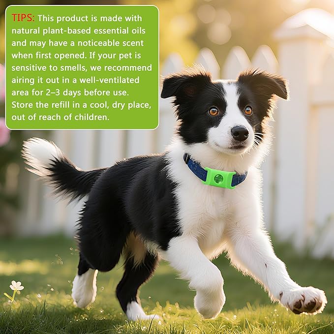 Natural Flea and Tick Prevention Dog Tag – Waterproof Collar Pendant with 2 Extra Refills, Green, Safe for All Breeds Collar Not Included