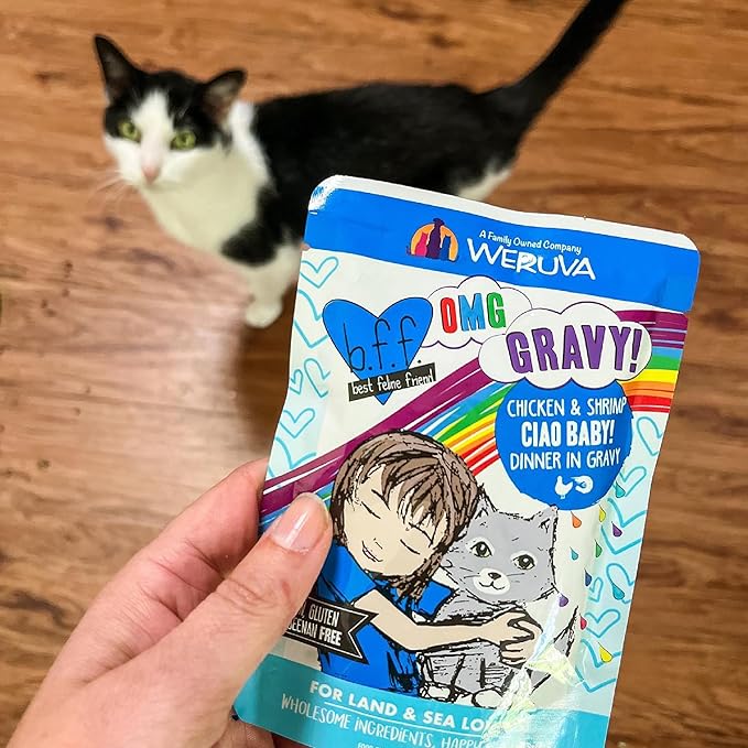 Weruva B.F.F. OMG - Best Feline Friend Oh My Gravy!, Rainbow A Gogo Variety Pack! Cat Food, 3oz Pouch (Pack of 12)