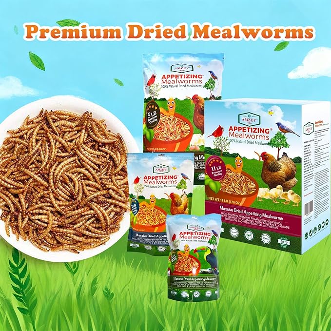 Amzey Appetizing Mealworms 5 LBS- 100% Non-GMO Dried Mealworms - Large Meal Worms - High Protein Treats- Perfect Mealworm for Chickens, Ducks, Turtles, Blue Birds, Lizards - Bag of Mealworms 5 LBS
