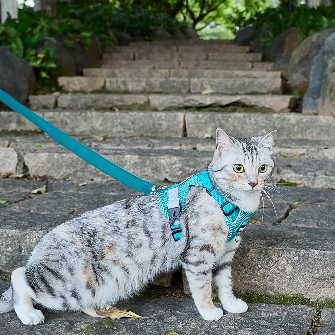 Cat Harness and Leash Escape Proof Large Kitten Harness Ragdoll Cat Vest for Walking Travel, Turquoise, L
