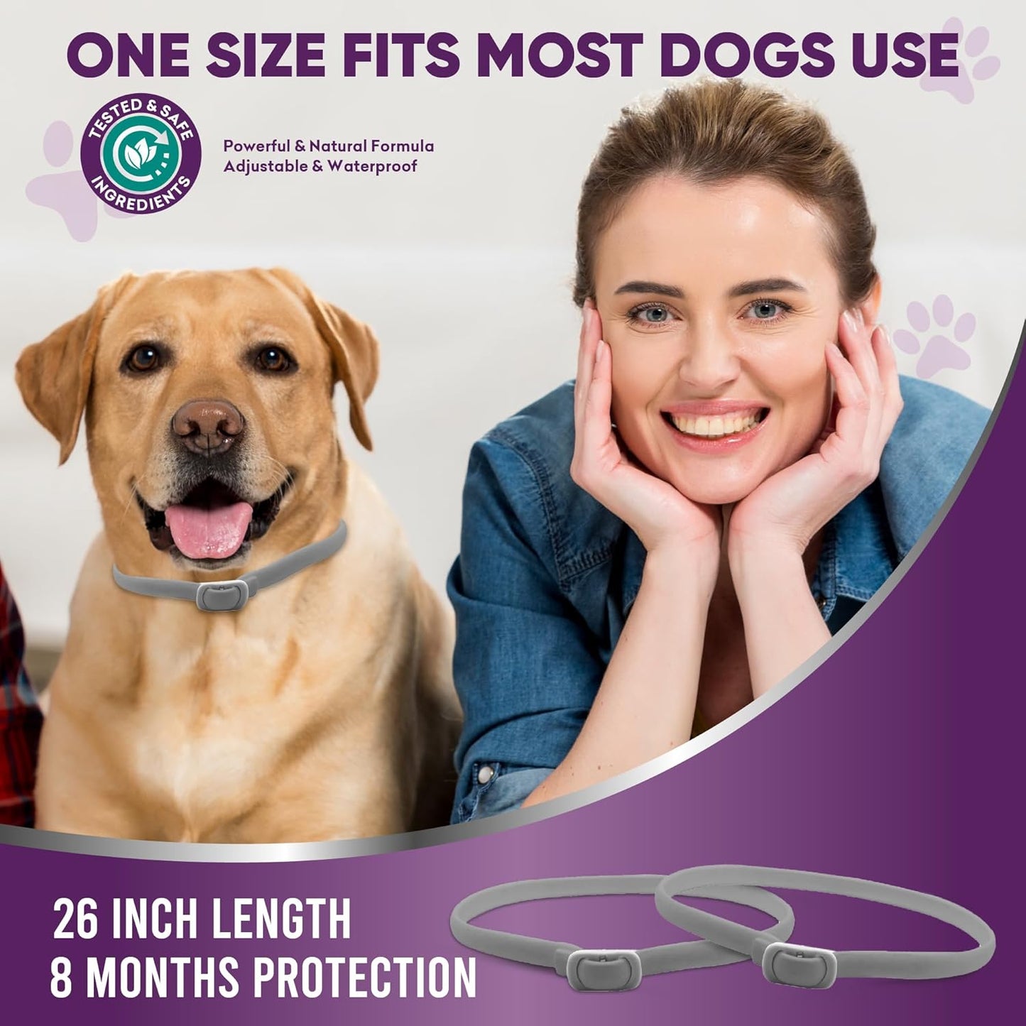 Dog Flea and Tick Collar 2 Pack 8-Month Protection Waterproof Natural Flea Collar for Dogs Safe and Effective Includes Flea Comb and Tick Removal Tool Adjustable Size for All Dogs & Puppies