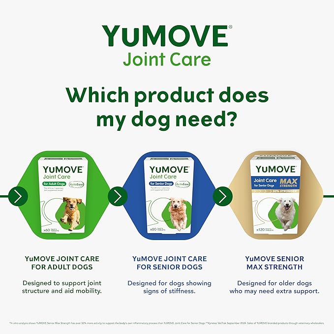 YuMOVE Hip & Joint Supplement for Dogs with Glucosamine, Hyaluronic Acid, Green Lipped Mussel & Omega 3 Joint Supplement - Regular and Advanced Strength (60ct, Chewable Tablets)