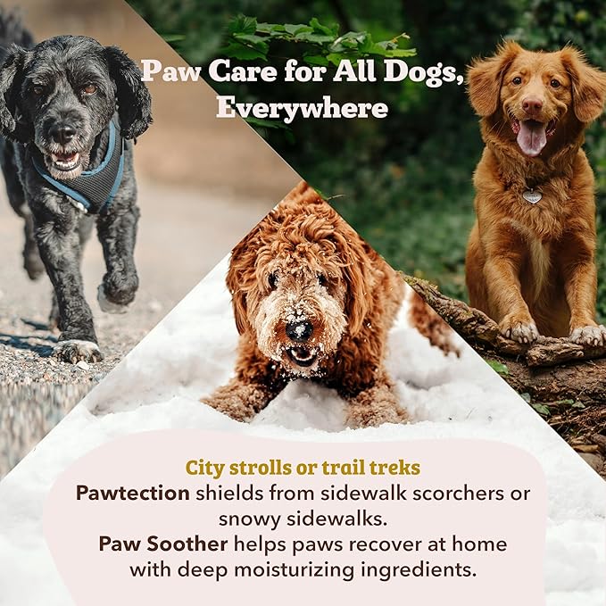 Natural Dog Company Paw Soother Balm Bundle, with 4 Travel Sticks (0.15 oz Each), Lotion, Moisturizes & Soothes Irritated Paws & Elbows, Protects from Cracks & Wounds, Lick-Safe, Made in USA