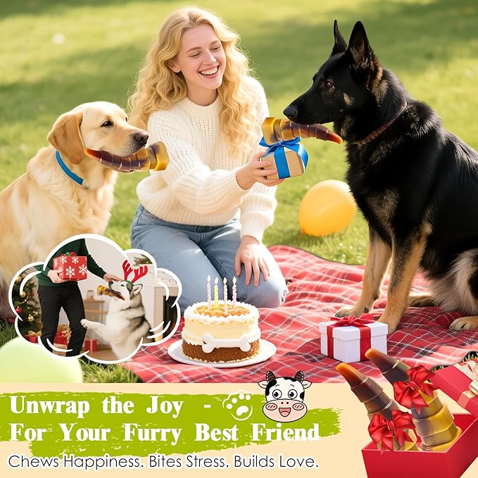 Dog Chew Toys for Aggressive Chewers, 2 Pack Indestructible Toys for Large Dogs, Dog Toy for Large Medium Small Breed, Super Chewer with Tough Nylon, Gift for Dogs