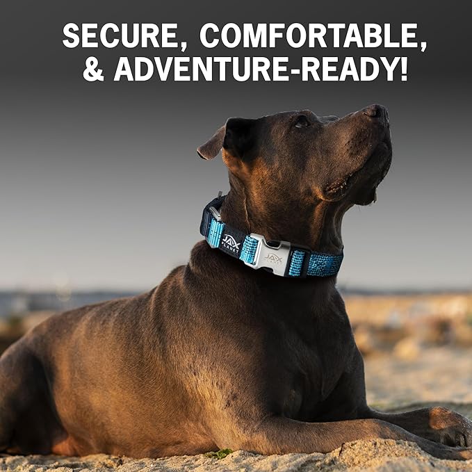 Blue Martingale Collar for Dogs - Heavy Duty Nylon Pet Collars for Escape-Free, No Pull Training & Walking with Alloy Metal Release Buckle & Reflective D Ring, One Time Adjustment, Safe & Secure
