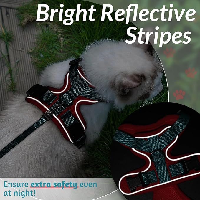 rabbitgoo Cat Harness and Leash for Walking, Escape Proof Soft Adjustable Vest Harnesses for Cats, Easy Control Breathable Reflective Strips Jacket, Red & Teal, S
