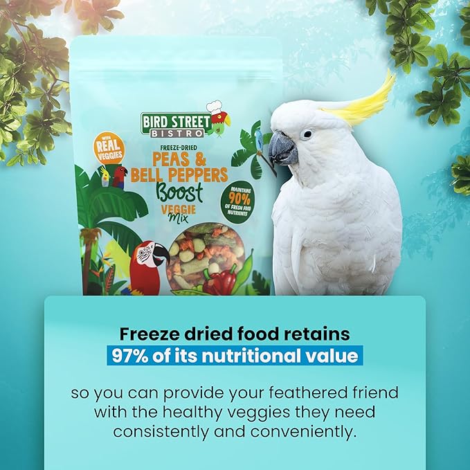 Parrot Food - Parakeet & Cockatiel Food - Cooks in 3-15 min with Natural & Organic Grains, Legumes, Non-GMO Fruits, Vegetables & Health Spices