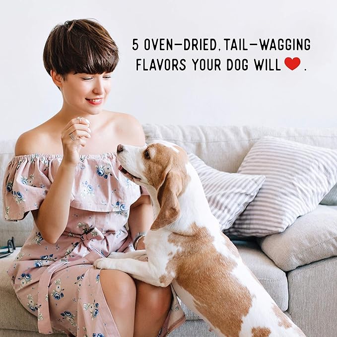 Farmland Traditions New Filler Free Dogs Love Pork Premium Jerky Treats for Dogs (5 oz.)