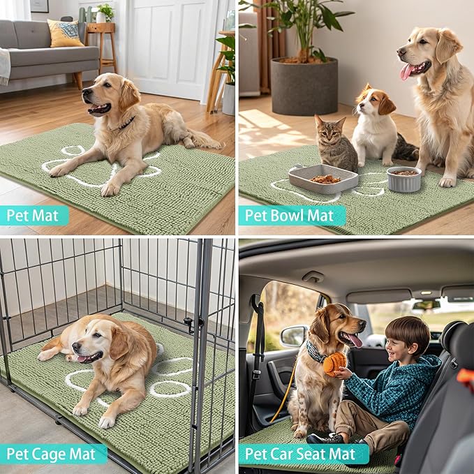 Smiry Dog Door Mat for Muddy Paws, Absorbent Dirt Trapper Non Slip Quick Dry Washable Chenille Mat for Mud Dogs, Entry Rug for Indoor and Outdoor (36x24 Inches, Sage Green)