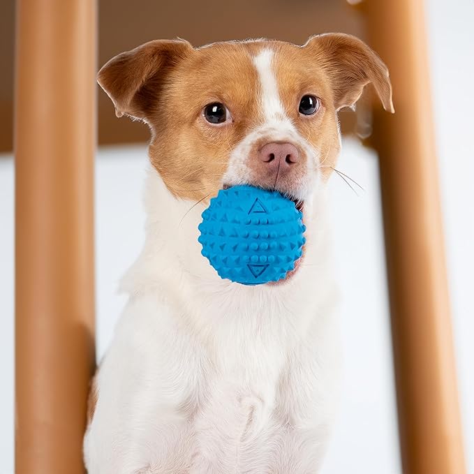 Best Pet Supplies Tough Dog Toys for Aggressive Chewers - Squeaky Dog Toys, Non-Toxic Spiky Ball for Dental Health, Interactive Toy, Pack of 2, Blue, Orange (M:2.5")
