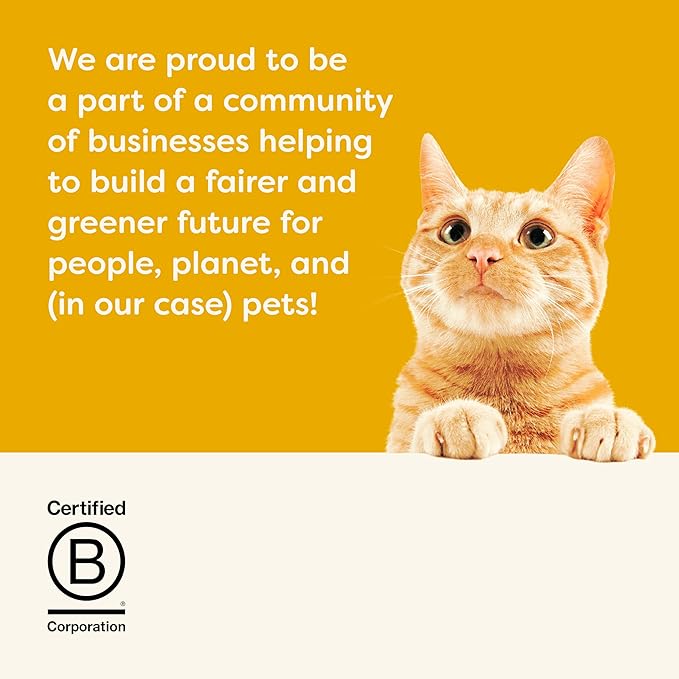 Applaws Lickable Cat Treats, Natural Grain-Free Purée, Made with Limited and Natural Ingredients, No Artificial Additives, Chicken Squeeze Up Cat Treats (60 x 0.5 oz Sachets)