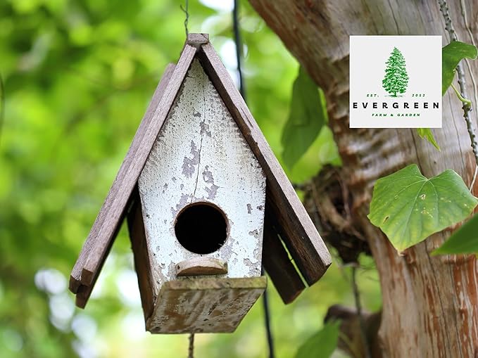 Birdseed Cylinders with Hole - Bird Seed for Outside Wild Birds (Small Cylinder, Bandit Buster 4pc)