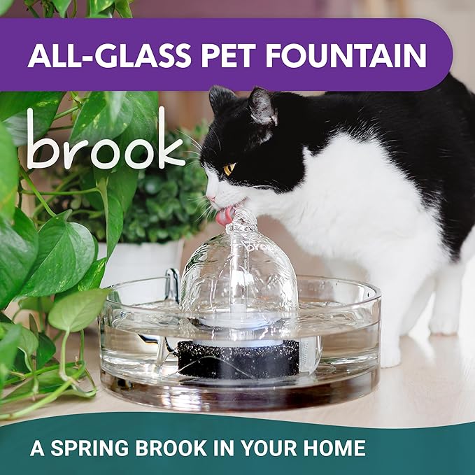 Brook Glass Pet Fountain (90oz/2.7L) β Cat Water Fountain & Small Dog Drinking Fountain β Automatic Water Dispenser Cat Fountain