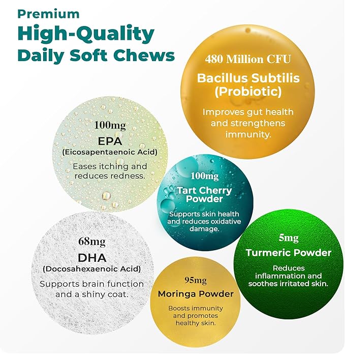 PetScy Itch & Allergy Plus Chews for Dogs Itchy Skin, Ears & Paws | Probiotics, Moringa & Turmeric | for Skin Redness, Hair Loss Gut & Digestive Health - Bacon Flavor - 60 Chews (Pack of 3)