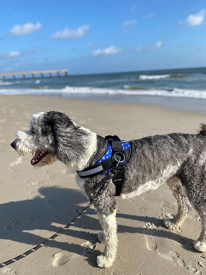 ShawnCo Essential Dog Harness, No-Pull Pet Vest with 3 Leash Clips, No Choke, Reflective, Adjustable and Padded, for Easy Walking and Training for Small, Medium and Large Dogs (White Sharks, XS)