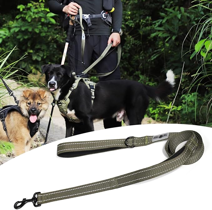 Dog Leash- 6 FT Leashes for Small to Large Dogs, Double Handle Dog Leash, Reflective Walking Training Lead (Dog Leash (Green), 6 FT Dog Leash)