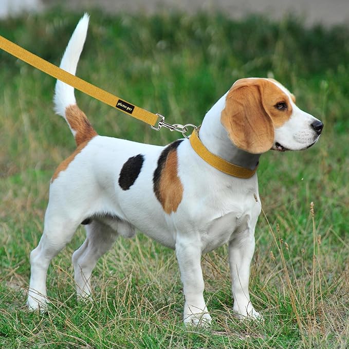 Plutus Pet Cotton Hemp Dog Collar and Leash Set, Adjustable Collar for Small, Medium, and Large Dogs, Heavy Duty and Soft on Skin, Yellow, L