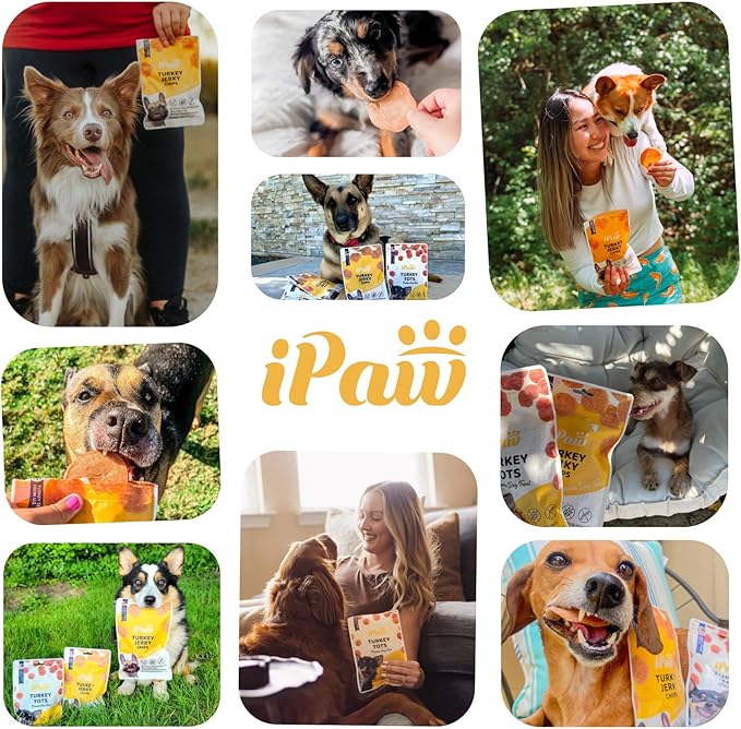 iPaw Dog Treats for Puppy Training, All Natural Human Grade Dog Treat, Hypoallergenic, Easy to Digest (Chicken Chips), 2 Packs