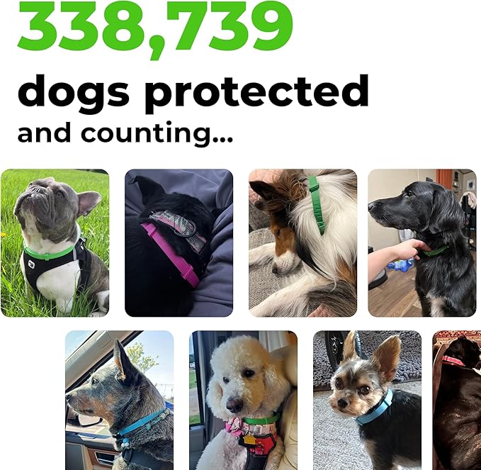 FurLife Flea and Tick Collar for Dogs – Waterproof Pink Dog Collar, Pet Supplies for Tick and Flea Prevention for Dogs, Safe for All Breeds