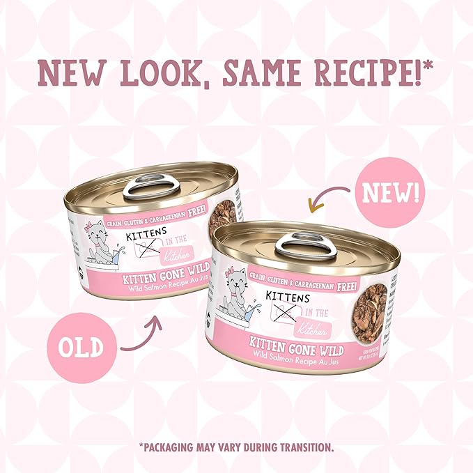 Weruva Cats in The Kitchen Kitten, Kitten Gone Wild, 3oz Can (Pack of 12)