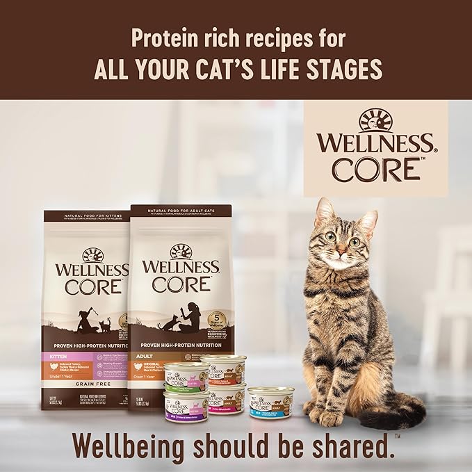 Wellness CORE Signature Selects Flaked Adult Wet Cat Food, Natural, Protein-Rich, Grain Free, 5.3 Ounce, 12 Pack (Skipjack Tuna & Shrimp)