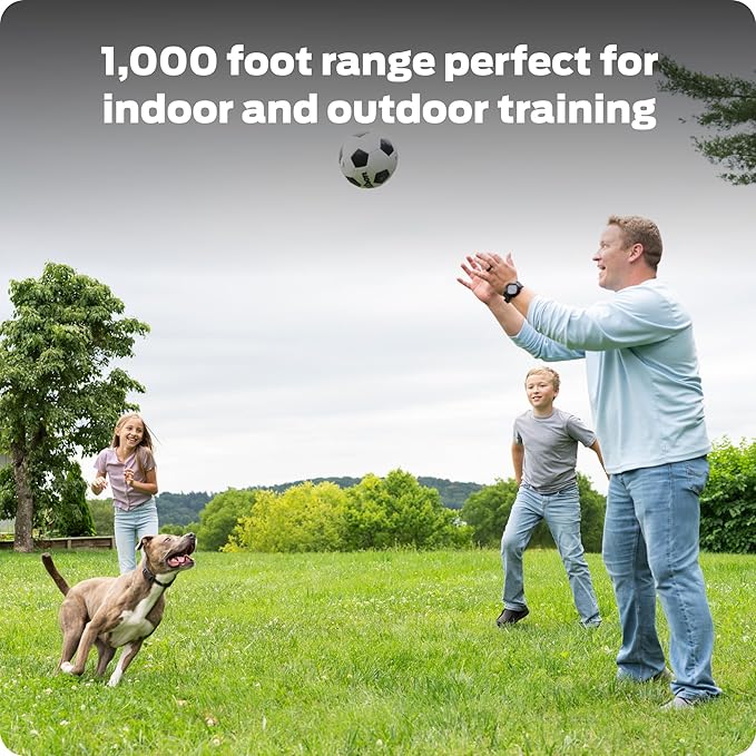 Dog Static Collar - 1000ft Dog Training Collar 2-Dog Bundle with Remote Dogs - Rechargeable Waterproof with 3 Training Modes - Tone Vibration & 16 Levels of Safe Static