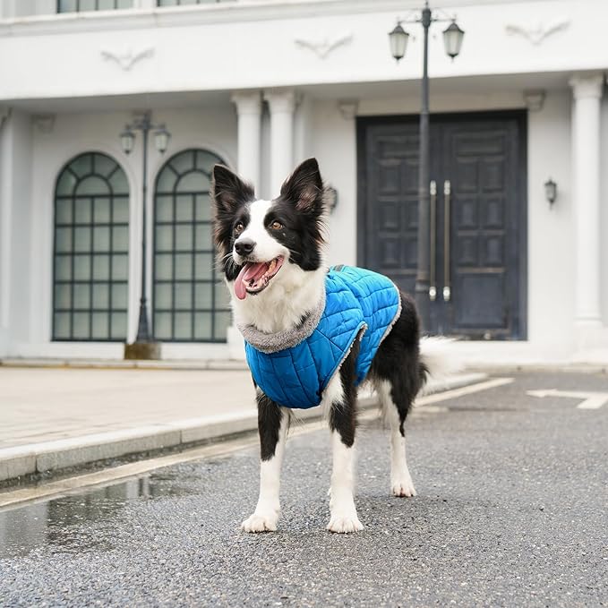 Warm Fleece Dog Coats with Durable Harness Buitl in D-Ring,Waterproof Puppy Jacket for Small Dogs,Dog Vest for Cold Winter,Light Blue M