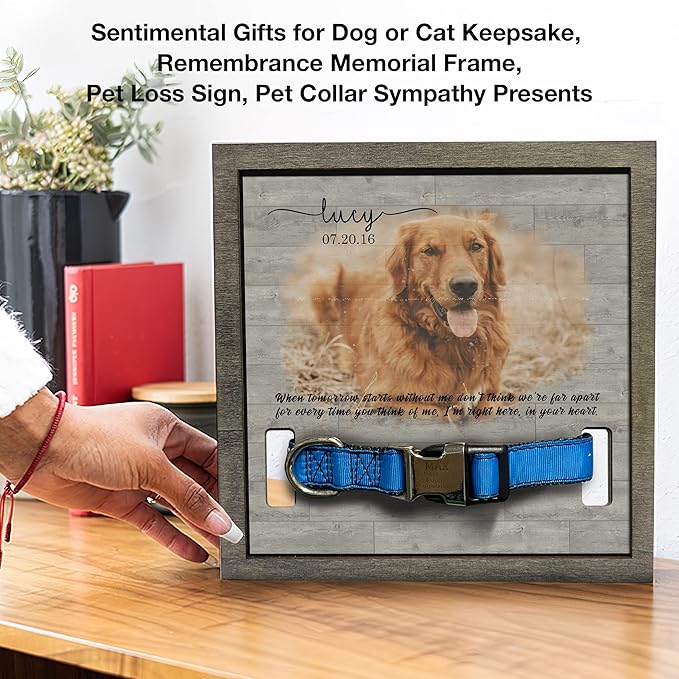 Personalized Dog Collar Frame Memorial Pet Loss Sign for Dog Lovers Collar Keepsake Picture Frame Remembrance Dogs Best Gifts With Heartfelt Sentimental Quote For Someone Who Lost A Pet Cats