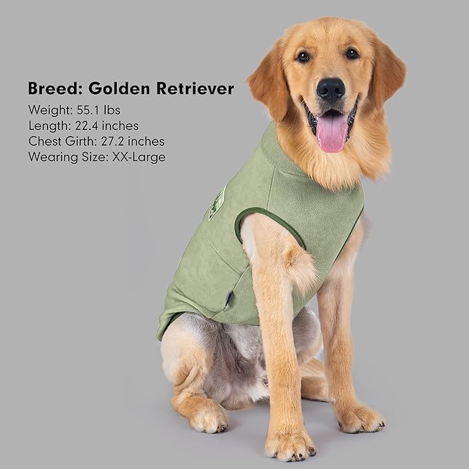 cyeollo Fleece Dog Sweater, Turtleneck Dog Sweatshirt Stretchy Pullover Fleece Vest Warm Winter Fall Clothes for Small Dogs Boy Pet Apparel, Green M