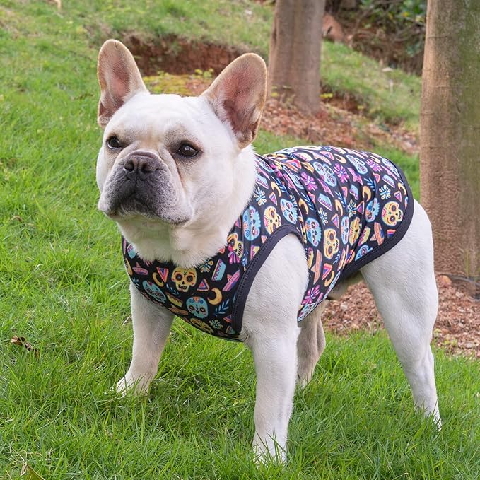 CuteBone Halloween Dog Shirts 2-Pack Soft Pet Clothes Breathable Summer Vest for Small Puppy and Stretchy Cat Apparel 2BX07M