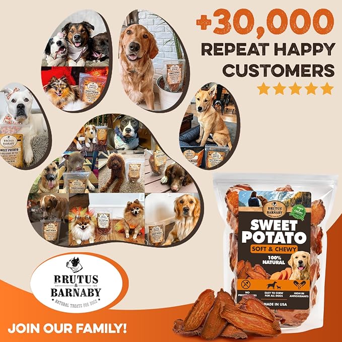 Sweet Potato Slices For Dogs - Soft & Chewy - Single Ingredient Dog Treats, Healthy 100% Natural Sweet Potato Dog Treats With No Added Preservatives - Softer & Great For Puppies Or Senior Dogs (5lb)