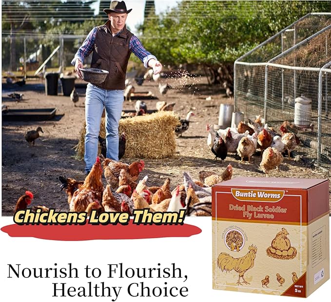 Dried Black Soldier Fly Larvae 5LB, High Protein Chicken Feed, 100% Natural Non-GMO – Treat for Chicken More Calcium Than Mealworms, Food for Laying Hen, Ducks, Wild Birds