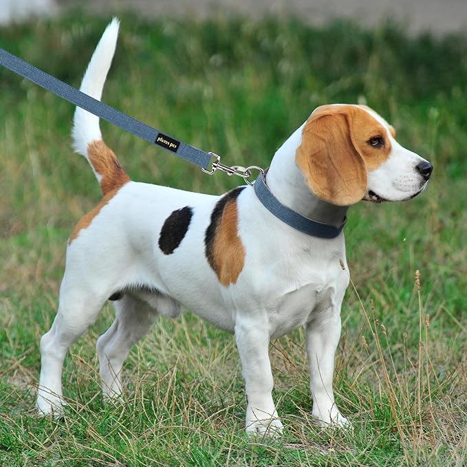 Plutus Pet Cotton Hemp Dog Collar and Leash Set, Adjustable Collar for Small, Medium, and Large Dogs, Heavy Duty and Soft on Skin, Haze Blue, XL