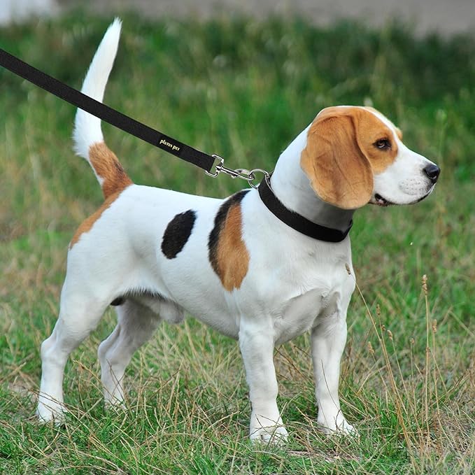 Plutus Pet Cotton Hemp Dog Collar and Leash Set, Adjustable Collar for Small, Medium, and Large Dogs, Heavy Duty and Soft on Skin, Black, S