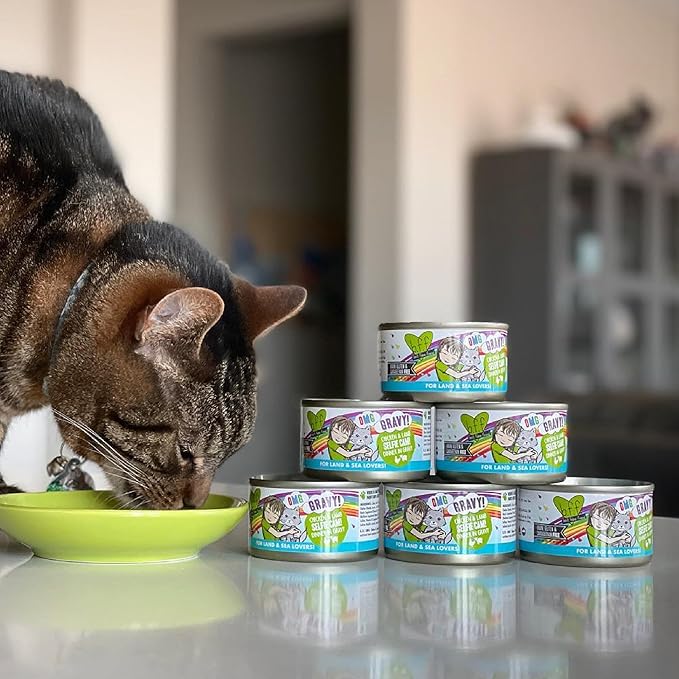 Weruva B.F.F. OMG - Best Feline Friend Oh My Gravy!, Best Day Eva! with Beef & Salmon in Gravy Cat Food, 2.8oz Can (Pack of 12)