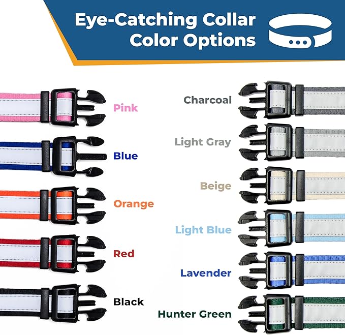 GoTags Reflective Personalized Dog Collar with Nameplate, Adjustable Dog Collar with Custom Engraved Steel Slide On Pet ID Tag, Silent, No Noise Dog Tag for Large Medium or Small (Orange, Medium)