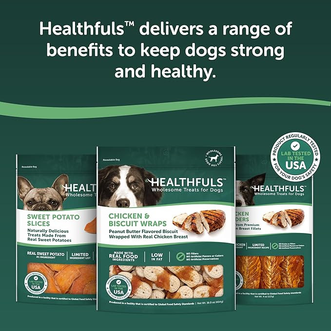 Chicken & Peanut Butter Flavored Dog Biscuits, 16oz