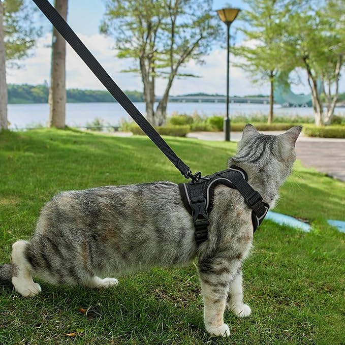 Cat Harness and Leash Set Escape Proof Tactical Extra Large Kitten Harness Emotional Support Cat Vest, Black, XXL
