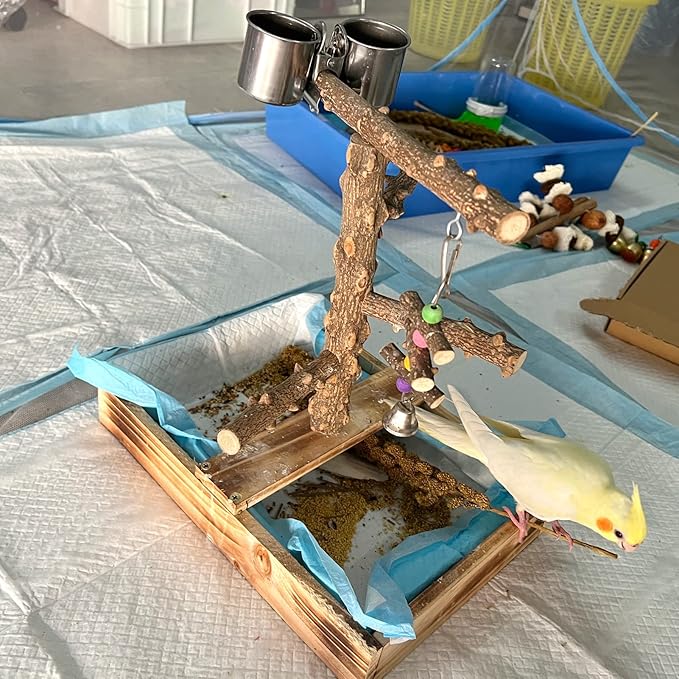 Natural Wood Bird Toys Playground, Bird Cage Accessories, Bird Perches, with Removable Tray and 2 Stainless Steel Cups